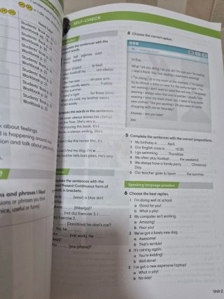 Wider world Workbook 2