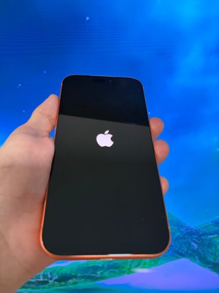 iPhone 17 Pro Max de 256GB - Color Naranja