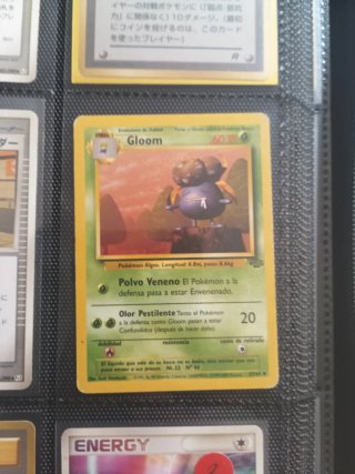 Colección Cartas Pokémon Vintage