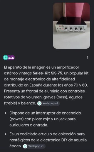 Amplificador SK-75 Stereo