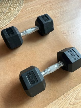 Mancuernas 12.5 kg (par)