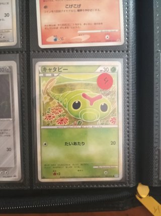 Colección cartas Pokémon Vintage japones