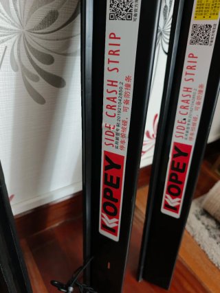 Protectores puertas Tesla