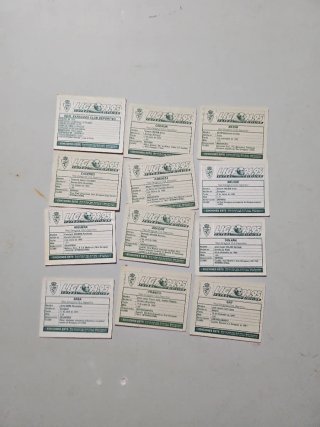 Cromos Fútbol Real Zaragoza ediciones este 94 95
