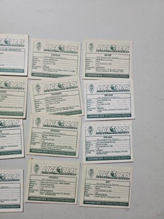 Cromos Fútbol Real Zaragoza ediciones este 94 95