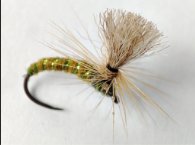 Moscas Tricóptero para Pesca