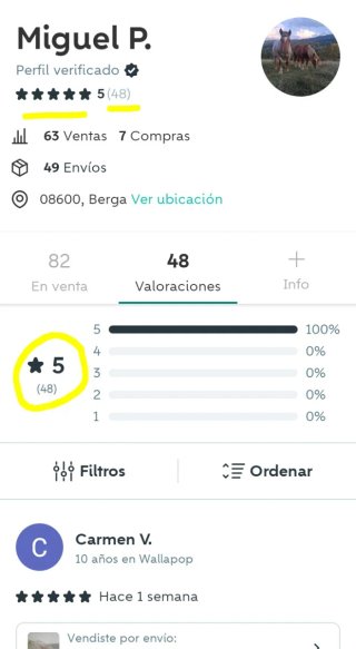 Escalera profesional