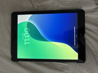 iPad 9ª Gen 256GB Gris