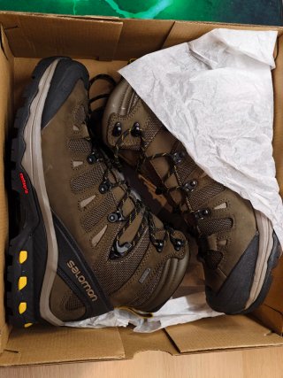 Botas Salomon Quest 4D 3 GTX