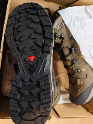 Botas Salomon Quest 4D 3 GTX