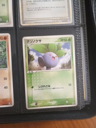 Colección cartas Pokémon Japonesas Vintage