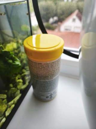 Pecera 20L con planta natural y accesorios