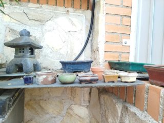 Lote Macetas de ceramica para bonsais