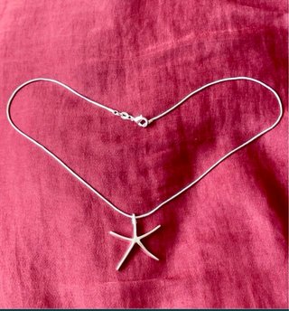 Colgante Estrella de Mar Plata 925