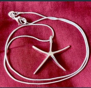 Colgante Estrella de Mar Plata 925