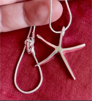 Colgante Estrella de Mar Plata 925