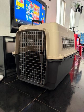 Transportín perro grande