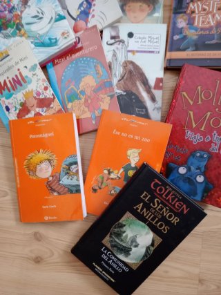 Lote 16 libros juveniles