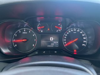 Opel Combo Cargo FURGON 1.5 TD 100CV