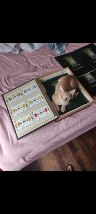Home English por aprender ablar en idioma English.