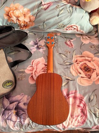 Ukelele Egmond sin usar