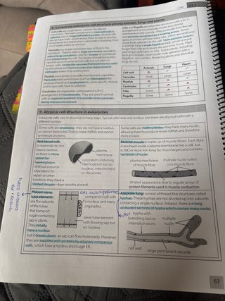 Biology study guide for IB