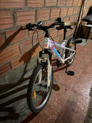 Bicicleta Neon Niña Montaña