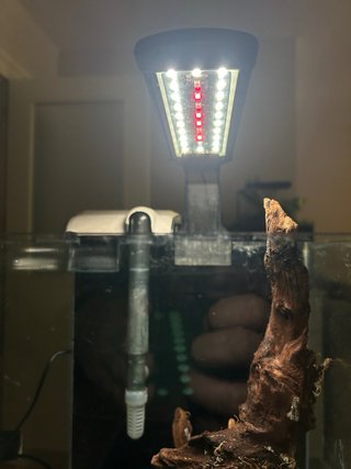 Kit Acuario 20L con Filtro y Luz
