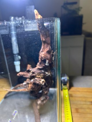Kit Acuario 20L con Filtro y Luz