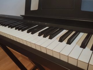 Piano Eléctrico Roland FP-10