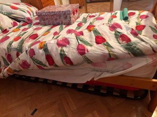 Somier de madera y cama supletoria