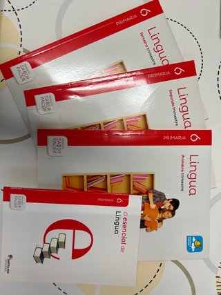 Libros de Lingua 6 primaria Santillana