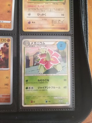 Colección cartas Pokémon Japonesas Vintage