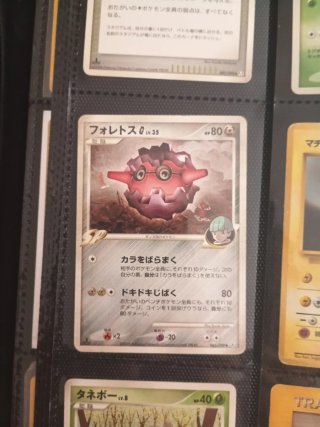Colección cartas Pokémon Japonesas Vintage