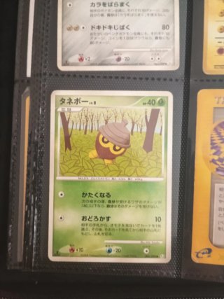Colección cartas Pokémon Japonesas Vintage