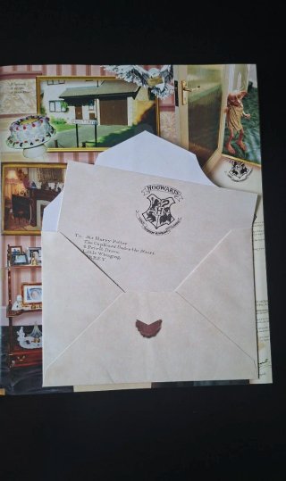 Libro Los Tesoros de Harry Potter