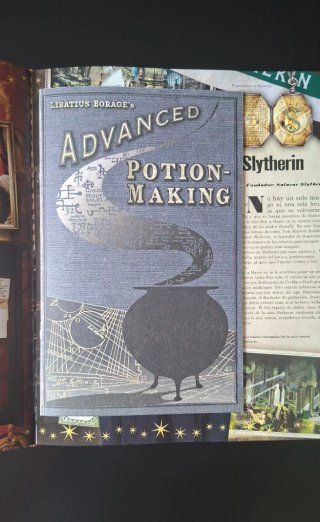 Libro Los Tesoros de Harry Potter