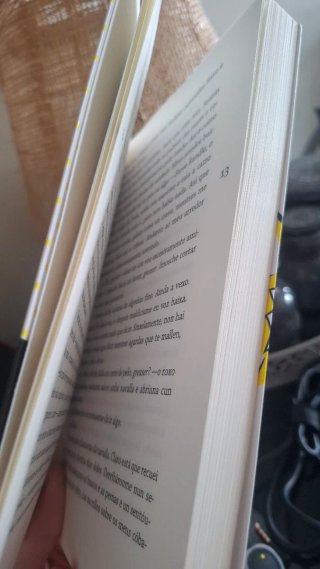 Libro Rebeldes de S.E.Hinton
