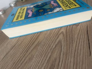 Todas esas cosas que te diré mañana, libro juvenil