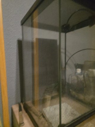 Terrario GiganTerra 30x30x45