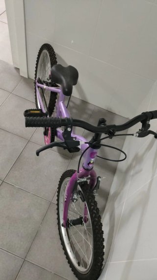 Bicicleta Morada Infantil 20