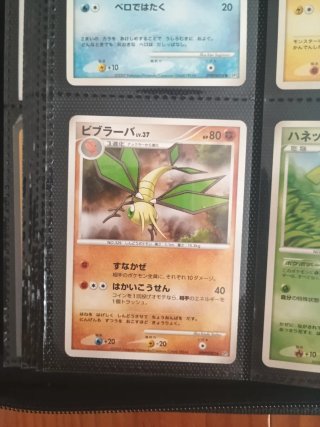 Colección cartas Pokémon Vintage Japonés