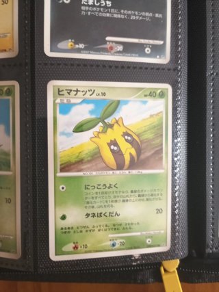 Colección cartas Pokémon Vintage Japonés