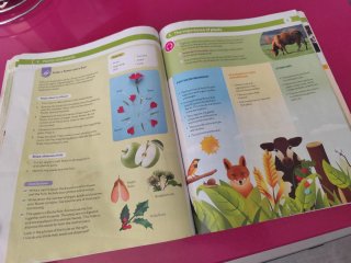 Libro 1Eso Biology and Geology