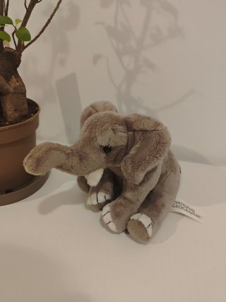 Peluche Elefante National Geographic