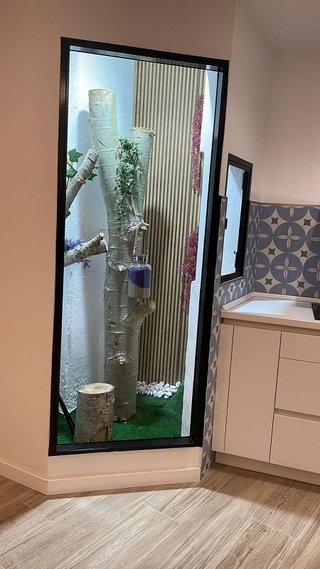 Piso en alquiler en Juan Carlos I en Murcia