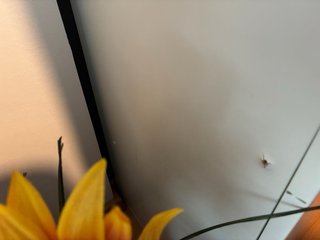 Armario IKEA BESTÅ Blanco con puertas