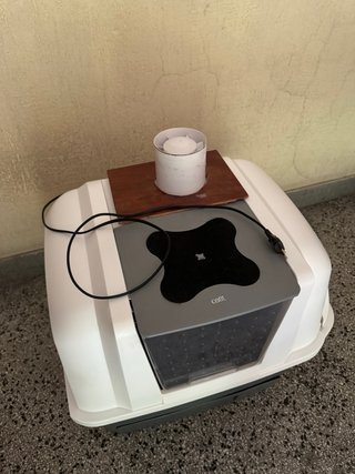 Arenero Semiautomático para Gatos