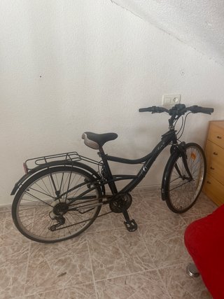Bicicleta Paseo Country 26