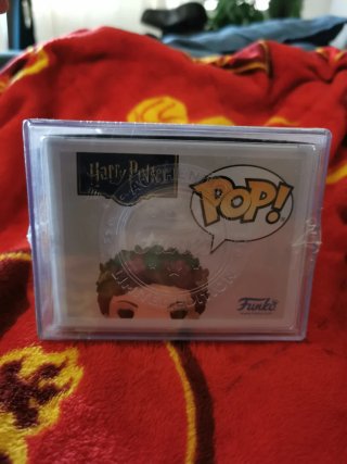 Funko Pop! Harry Potter Fat Lady 189 Chase